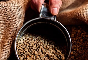Origen del cafe